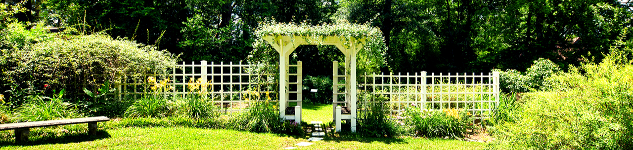  Elegant white trellis and arbor with climbing rose, perennial flowers, green grass and lush tree line at the Eudora Welty House & Garden.