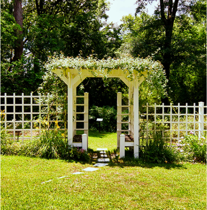Modern-day color photo of the restored Eudora Welty Garden arbor and trellis.