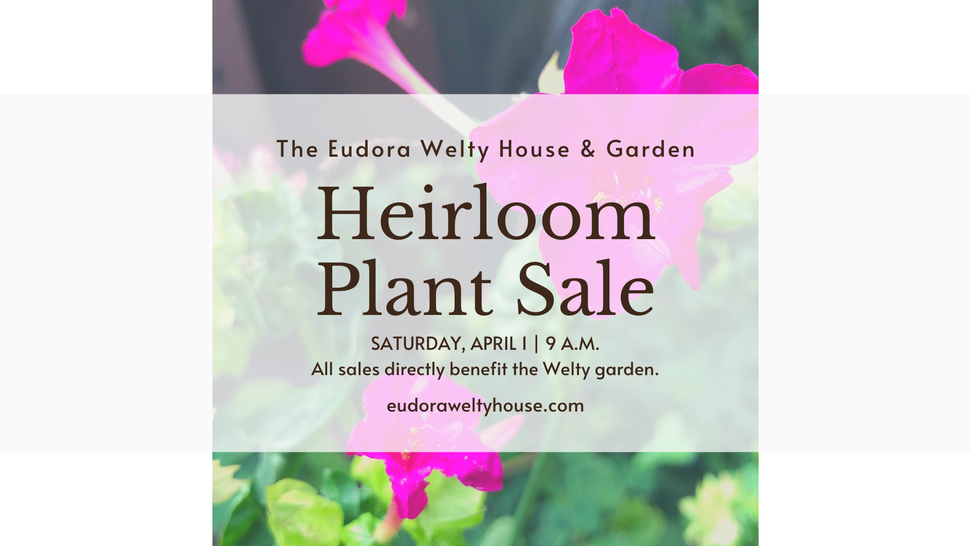 Poster for Heirloom Plant Sale Saturday, April 1, 2023, brown text in a light field, with four o'clock flowers behind
