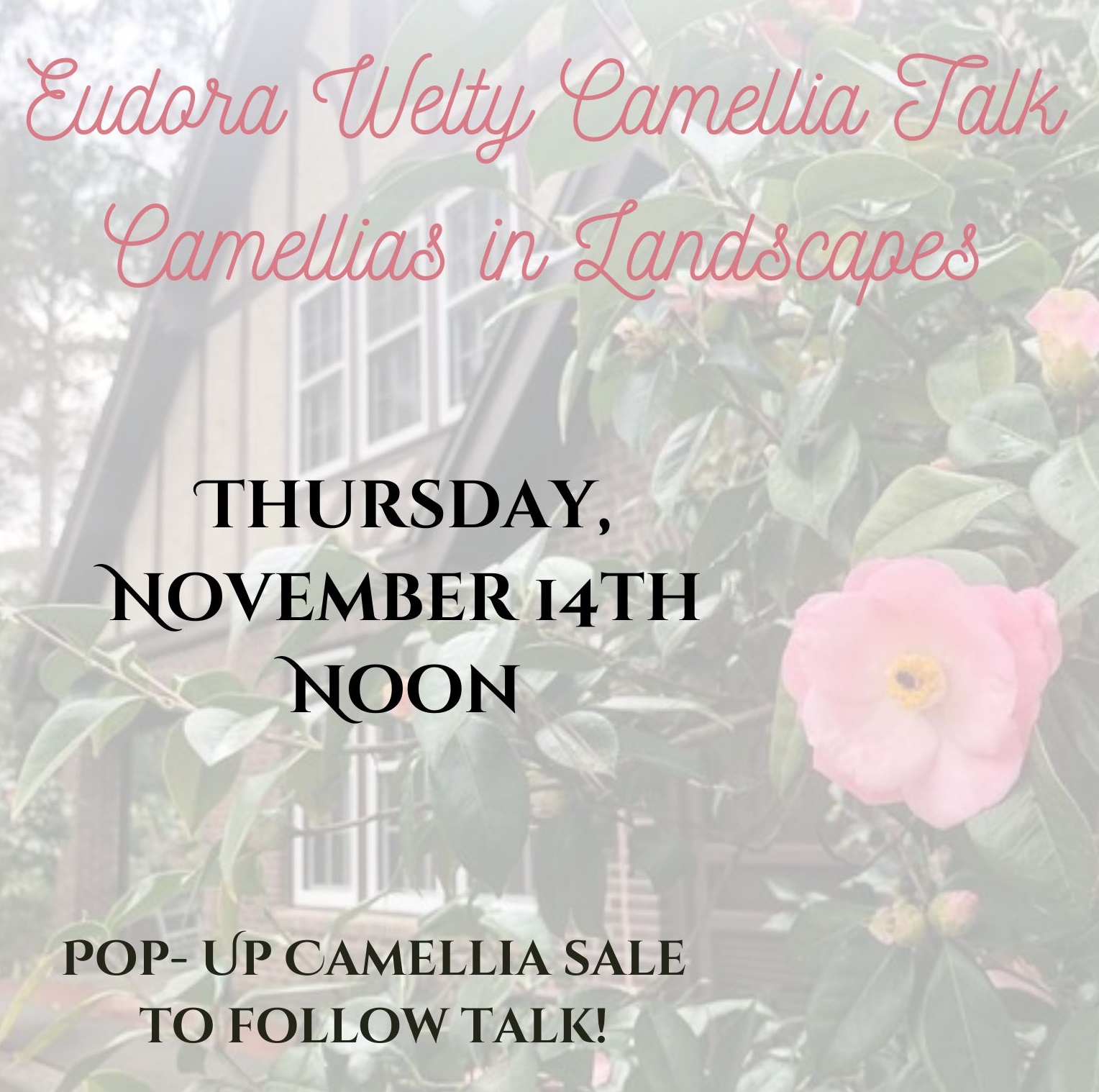 Background features the Eudora Welty House, partially obscured by large green camellia bushes with light pink blooms. Overlaid text at the top in cursive pink letters reads: 'Eudora Welty Camellia Talk: Camellias in Landscapes.' Below, the main text in black capitalized letters states: 'Thursday, November 14th, Noon.' The bottom section includes: 'Pop-up Camellia Sale to Follow Talk!'