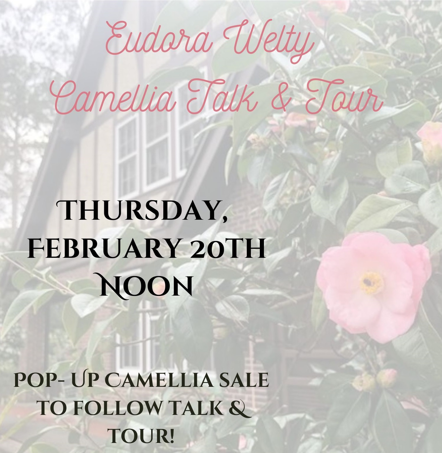 A promotional flyer with a background image of camellia flowers and leaves in front of the Eudora Welty House. The text reads: 'Eudora Welty Camellia Talk & Tour. Thursday, February 20th, Noon. Pop-up Camellia Sale to follow Talk & Tour!' The text is in a mix of elegant pink script and bold black font.