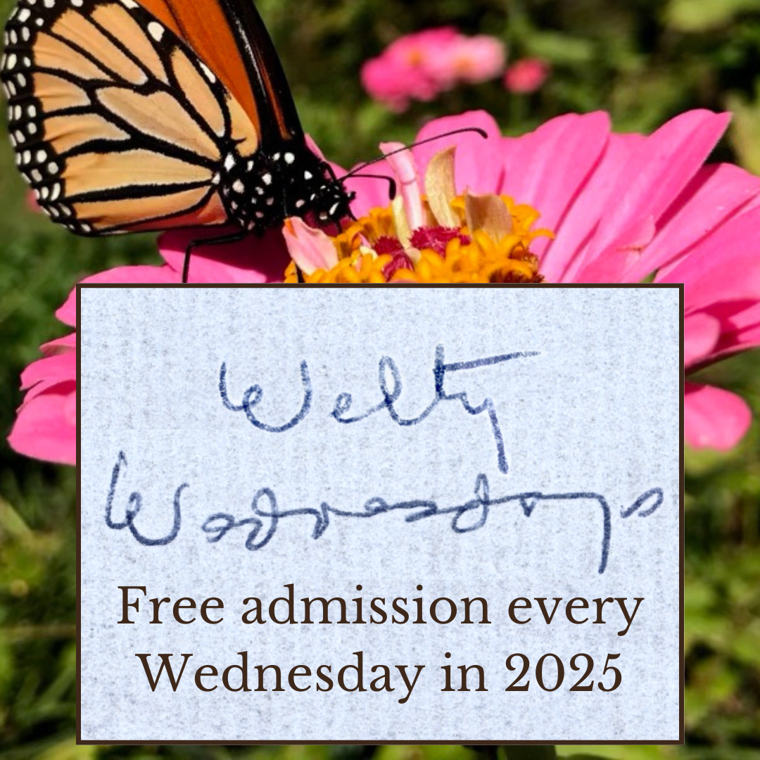 A monarch butterfly sips nectar from a bright pink zinnia in the Welty Garden. Overlaid is a square box featuring Eudora Welty’s handwriting that reads “Welty Wednesdays.” Below the handwriting, typed text announces: “Free admission every Wednesday in 2025.”
