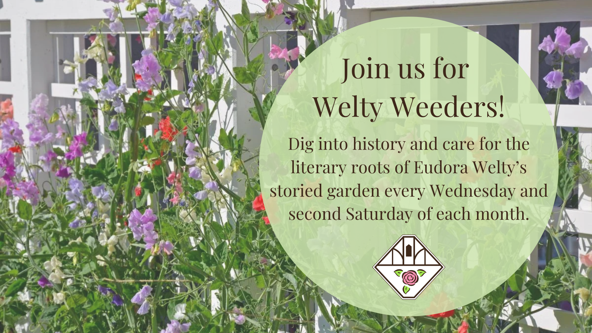 Promotional image for Welty Weeders, a volunteer gardening program at the Eudora Welty House & Garden. A soft green circle overlays a photo of colorful sweet peas growing along a white trellis. Text reads: “Join us for Welty Weeders! Dig into history and care for the literary roots of Eudora Welty’s storied garden every Wednesday and second Saturday of each month.” The Welty House logo appears below the text.