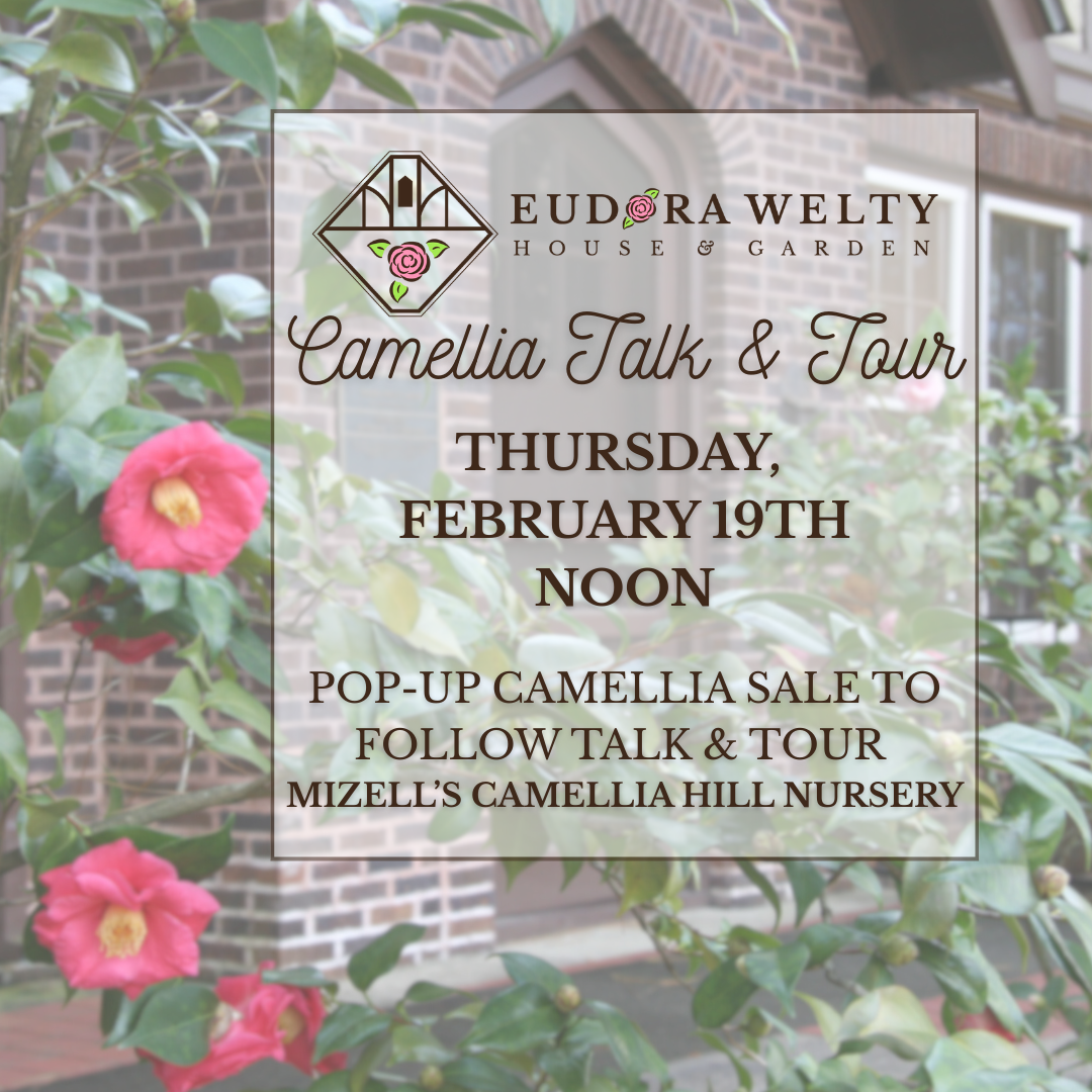 Promotional graphic for Camellia Talk & Tour at Eudora Welty House & Garden on Thursday, February 19 at Noon. Pop-up sale to follow talk by Mizell's Camellia Hill Nursery. The background of these text information is two camellia bushes by the Welty House front door.