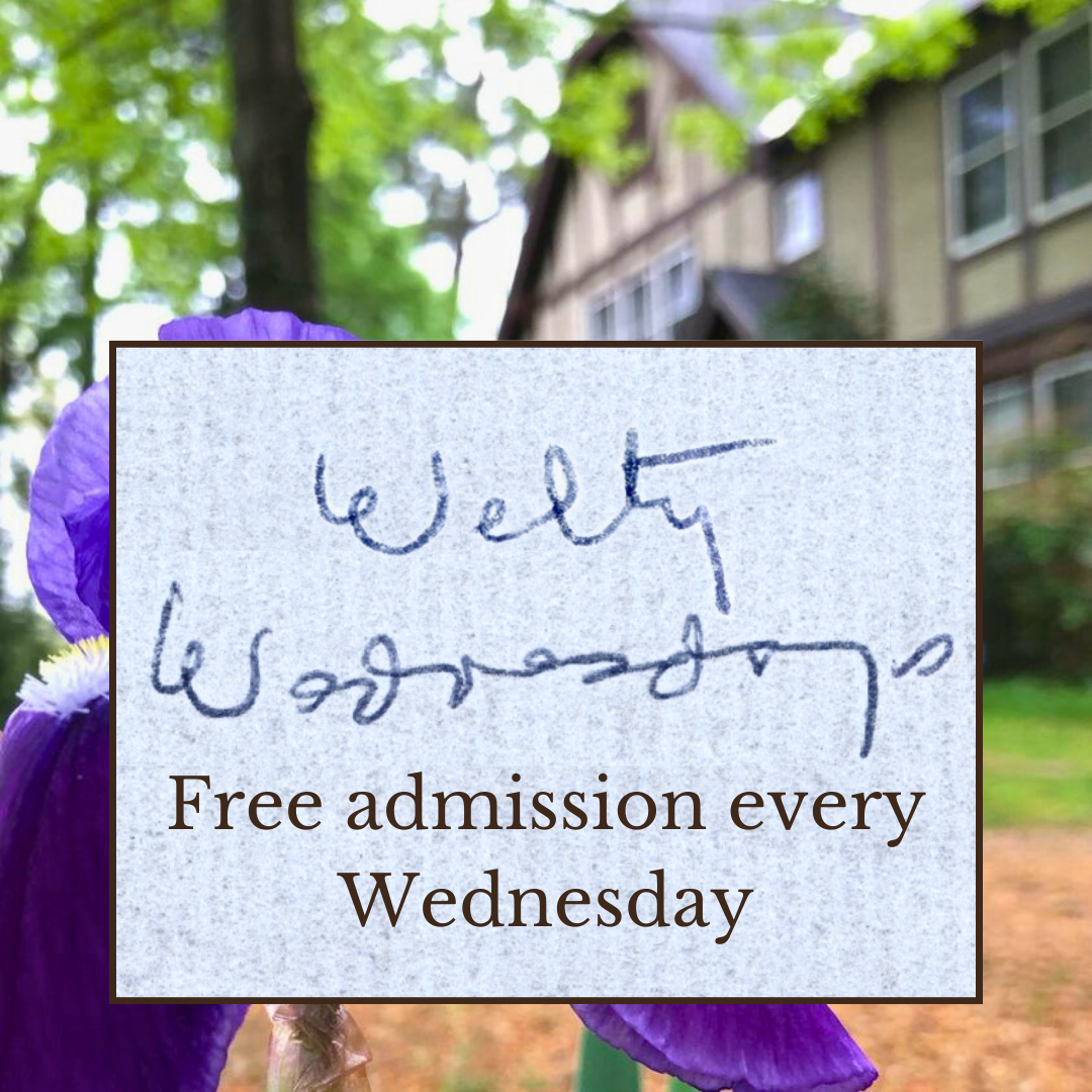 Promotional graphic for Welty Wednesdays: foreground features a paper texture box with Eudora Welty's handwriting "Welty Wednesdays" and typed underneath "Free admission every Wednesday." Background is a picture of a blooming LA Blue Iris at the Eudora Welty House.